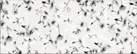 Decor PENNE INSERTO FLOWER