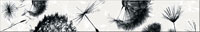Frieze PENNE BORDER FLOWER