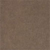 Гранитогрес Picadily Castanho 50x50 GP 0199