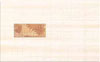 Декор Tamiza bis inserto 25x40