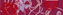 Фриз Rosario burgund listwa 6x25
